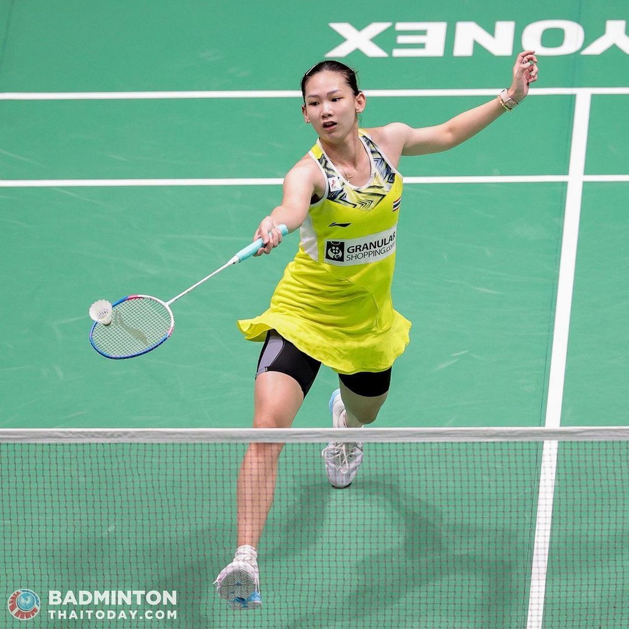 的终结稳定 的终结稳定